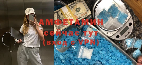 шишки Верхний Тагил